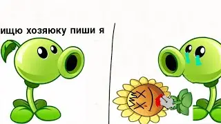 жизнь горохострела в брукхевен рп