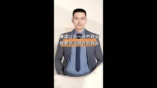 美国过去一年的就业就是非法移民的就业