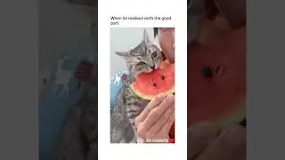 Red is the Good Part