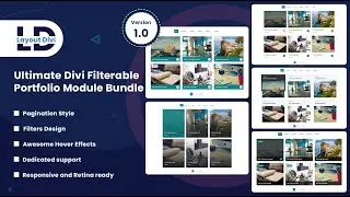 How To Import Divi Filterable Portfolio Sections