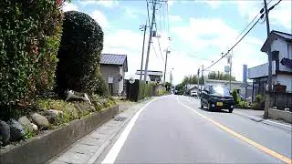 猫横断