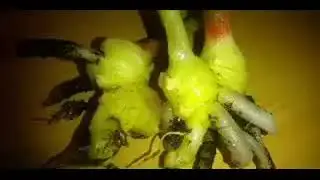 "ផលប្រយោជន៍របស់ខ្ញី"