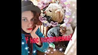 We have a new addition)