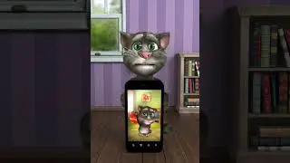 Talking Tom 2