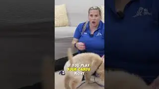 Do You Give Too Much Freedom? Leash Walking Mistake #6