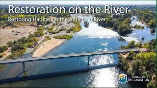 Restoration on the River: Restoring Habitat on the American River