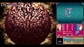 The Bosses of Castlevania: Portrait of Ruin (DS - PC / Steam) (Perfect - No Damage Run)