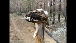 Оланга-Трейл 2021