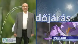 Nyárias pillanatok