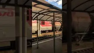Вл80с с грузовым составом #поезд #поезда #железнаядорога #railtravel #ржд #railway #traintravel #rzd