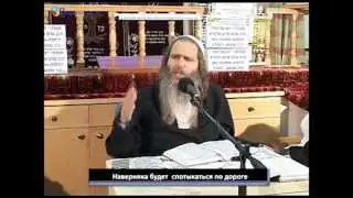 Наука радости  Рав Шалом Аруш