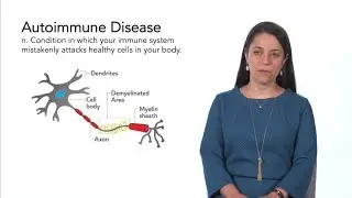 Understanding Multiple Sclerosis: What is MS?