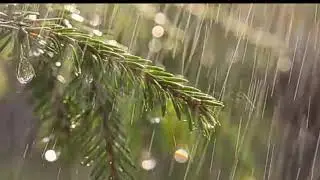 SUARA HUJAN RELAXATION MUSIC RAIN SOUND