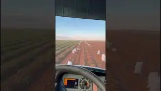 реали полевых перевозок 
