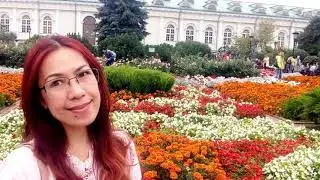 Moscow Museum and Krimlin short tour.