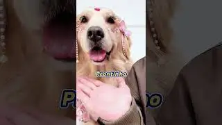Maquiei minha cachorrinha e ela virou uma verdadeira princesa! 🐶💄👑