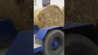 #farm #farming #straw