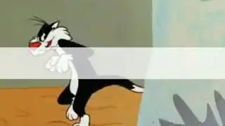 El gato se cayó  al río