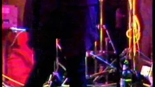 Bush Tetras 