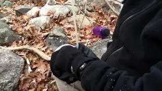 Backpacking Water Filter