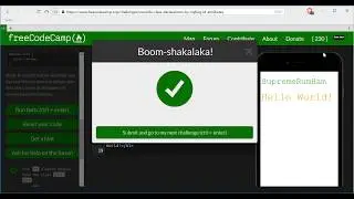 Override Class Declarations by Styling ID Attributes- freeCodeCamp HTML5 and CSS lesson #49