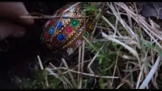 Metal Detecting - 