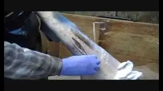 Sewing Holes in Fur