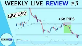 ForexDoc Live Stream - Weekly Review 3