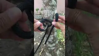 Amazing Knot in our daily life!  #knotskill #diy #knottutorial
