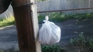 16 поход