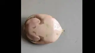 Amazing Tortoise Flipping Steps | Turtle Back Flip | Flip itself while lying on back | Animal Love