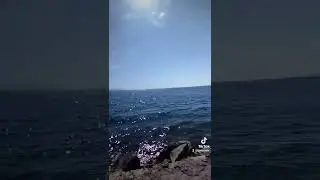 #Озеро