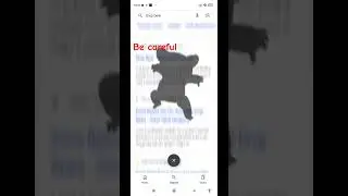 whats drop bear?..