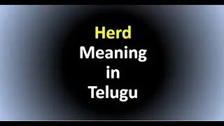Herd Meaning in Telugu