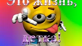 Смешное видео в эфире. Это жизнь, детка!