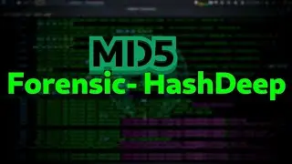 Forensic with HashDeep on Kali Linux 🙂
