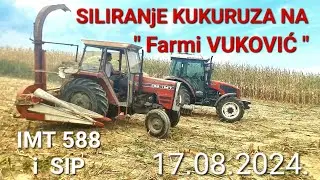 Siliranje Kukuruza na Farmi VUKOVIC | Imt 588 i Sip sk 80 | ArmaTrac 704e | @Savo.Vukovic