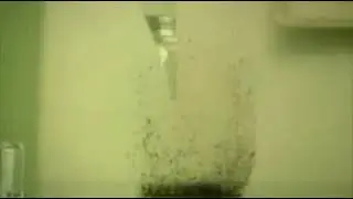 Выученная беспомощность (эксперимент с блохами)