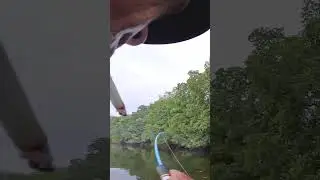 di balik air yang tenang ada iwak yang lapar