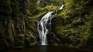 Escape to Serenity Relax and Unwind with Spring Birds and Waterfall Sounds
