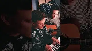 Sted.D - свет и тень