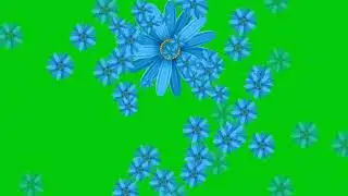 Flowers green screen effects rose green screen effects