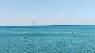 Дивноморск 27.09.23 встреча.  дельфинами🐬💫🌈
