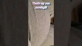 My Baby moved!!