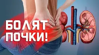 Боль в почках,что выпить/Что попить при болях в почках