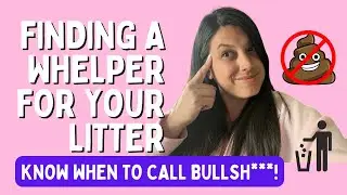 How to Find A Whelper & Red Flags to AVOID!