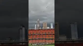 Seagulls invade Clevland Browns Stadium! 🏈