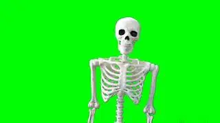 Dancing Skeleton - Free Horror Green Screen Effect