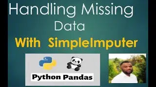 Handling Missing Data in Python with SimpleImputer