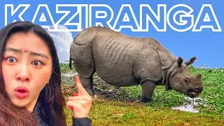 You can find this Animal in India?